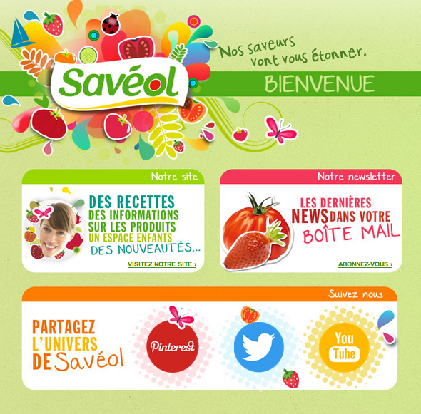 home-gate-saveol-newsletter