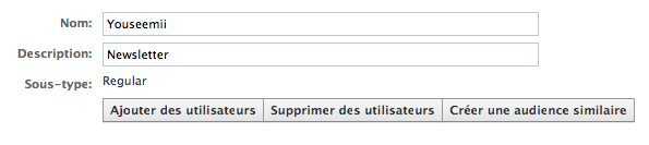 modifications--custom-audience-facebook-ads