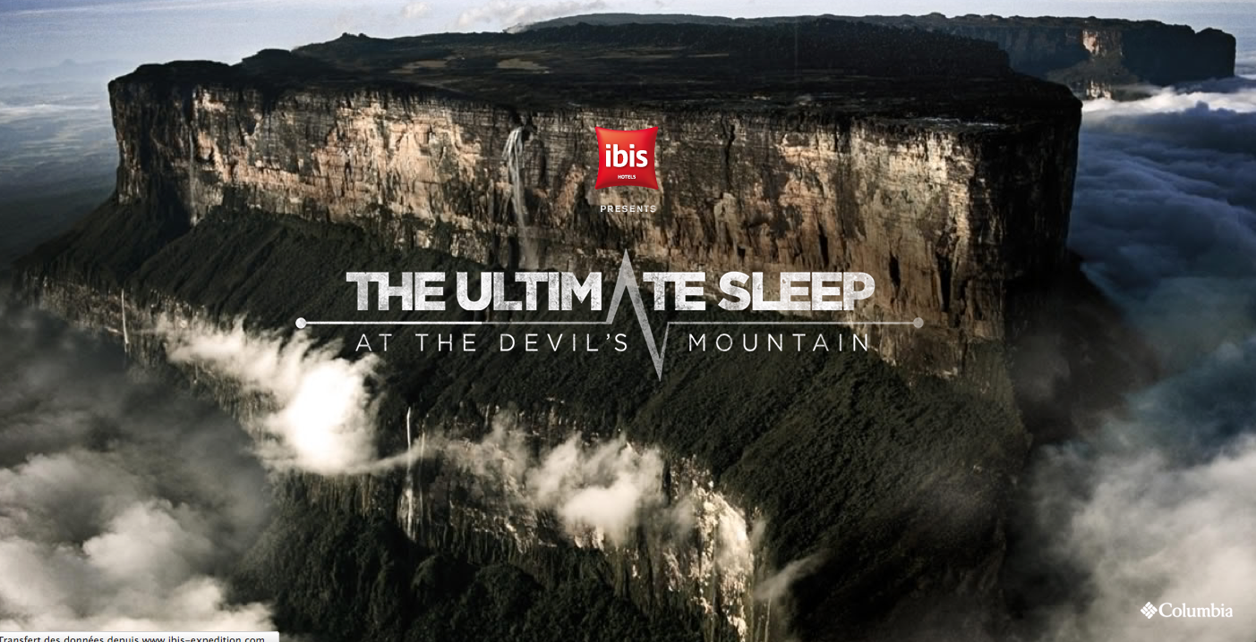 The Ultimate Sleep Ibis