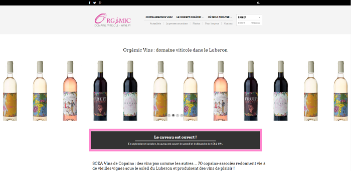 vins