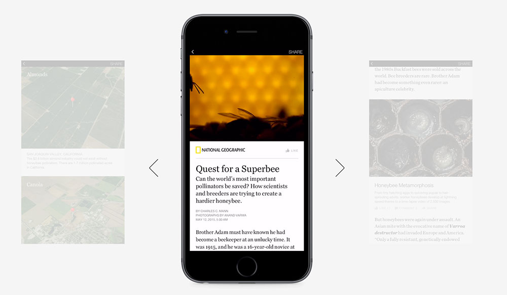 Facebook Instant Article
