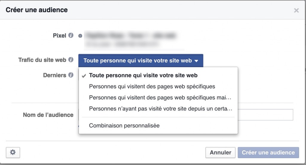 Pixel conversion facebook remarketing