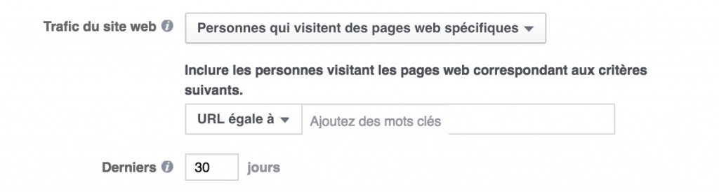 Pixel conversion facebook remarketing